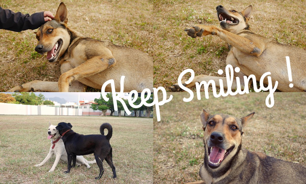 Keep Smiling 如果能像他們一樣單純地笑著就好