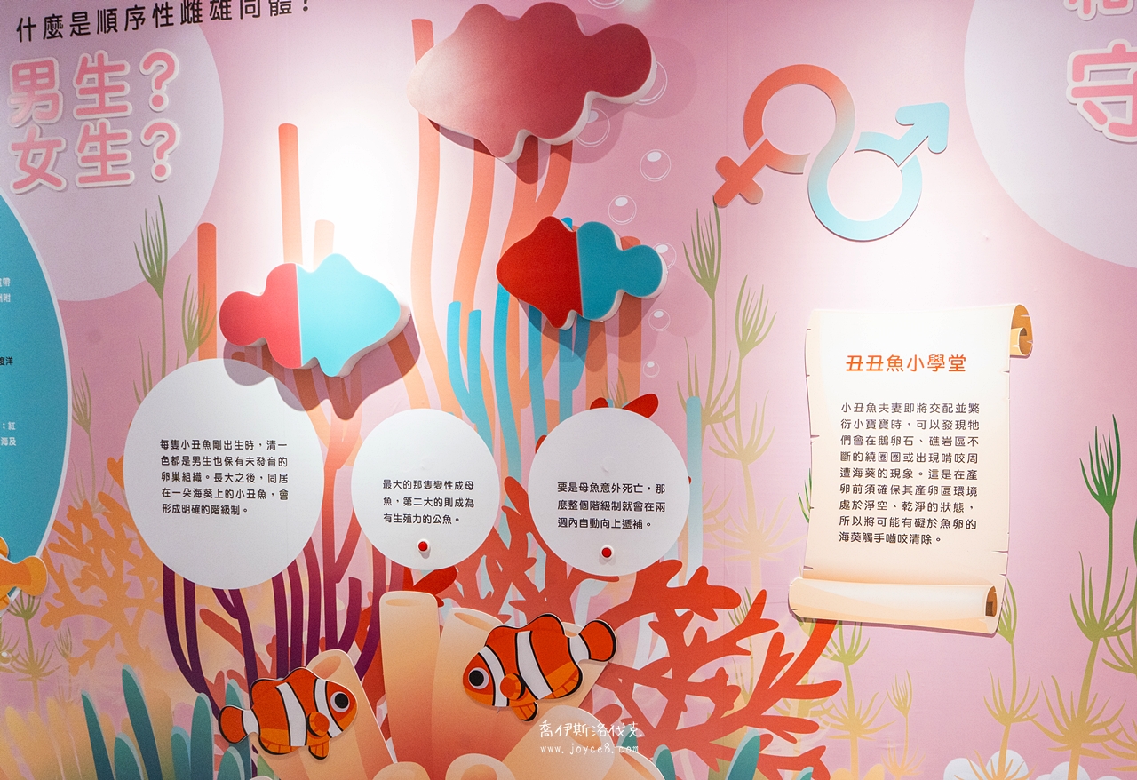 丑丑館小丑魚小學堂看板