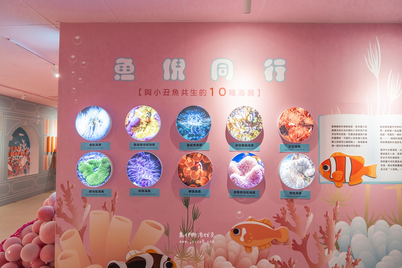 丑丑館海葵知識介紹看板