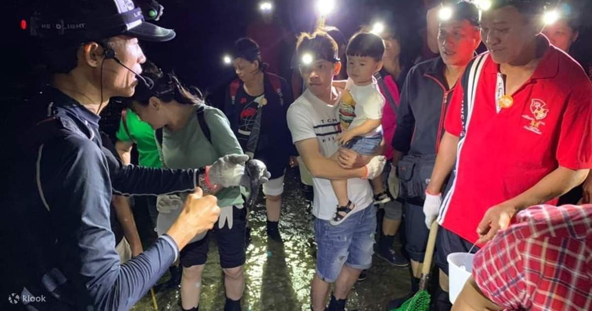 澎湖夜訪潮間帶生態體驗