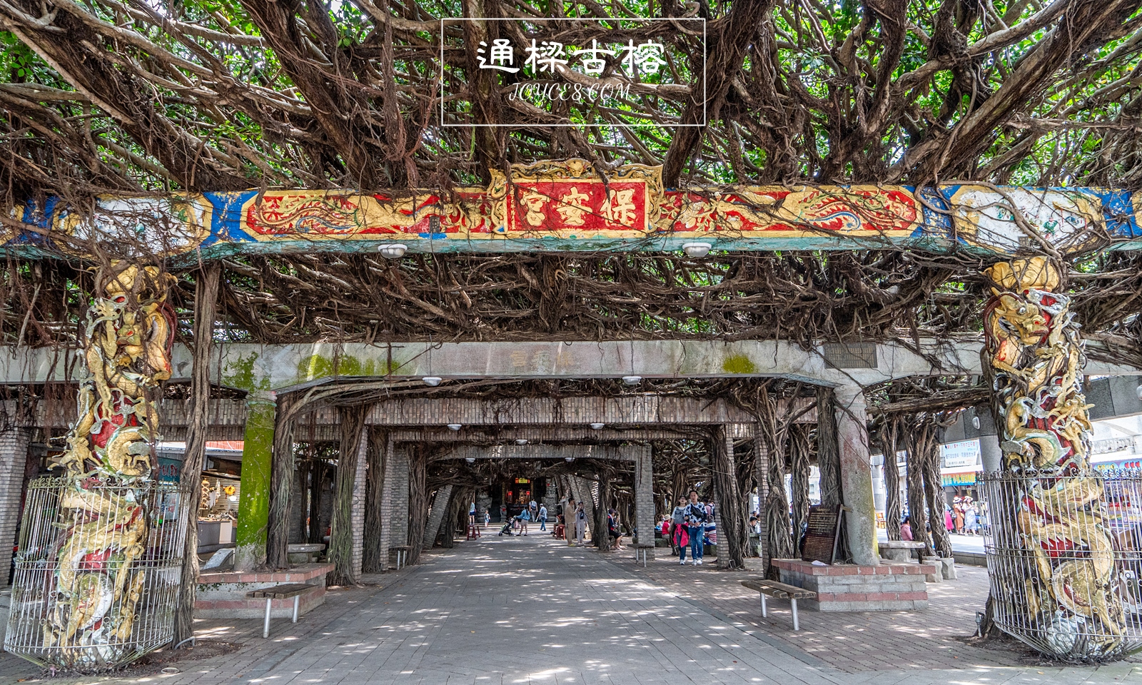 通樑古榕保安宮景點入口意象